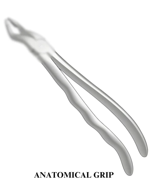 ANATOMICAL GRIP