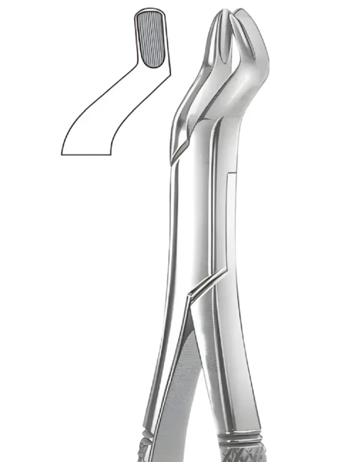 Upper Molars, Hook Handle