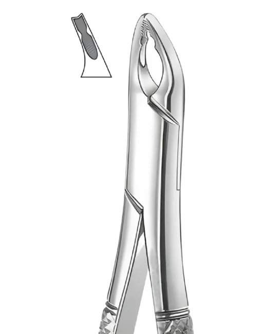 150XAS Children, Upper Incisors & Cuspids, serrated jaw