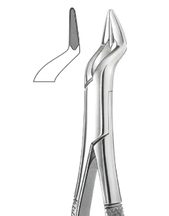 32A Upper Bicuspids & Roots