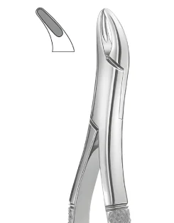 62 Upper & Lower Incisors